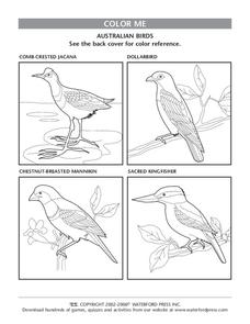 Color Me Lesson Plan