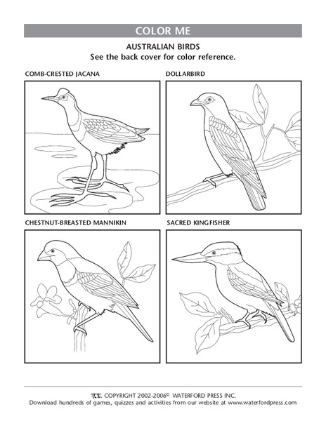 Color Me Lesson Plan