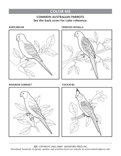 Color Me Lesson Plan