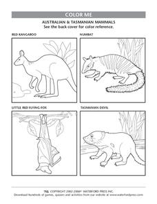 Color Me Lesson Plan