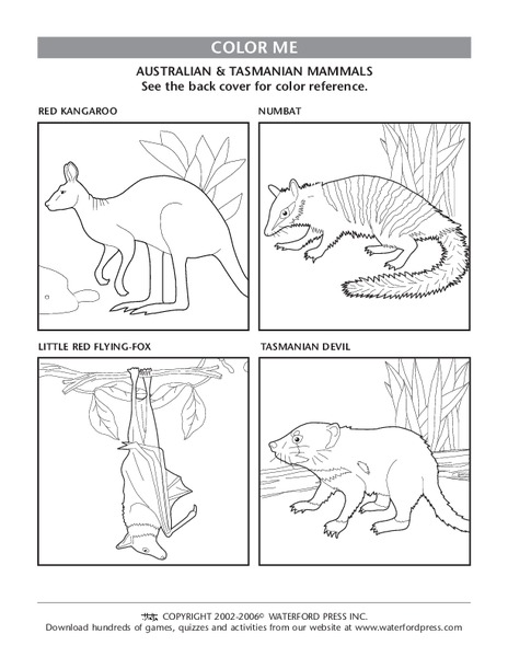 Color Me Lesson Plan