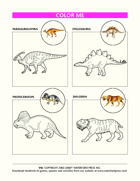 Color Me Lesson Plan