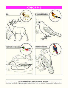 Color Me Lesson Plan