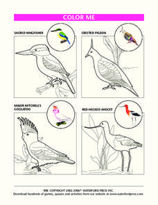 Color Me Lesson Plan