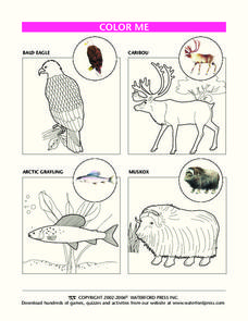 Color Me Lesson Plan