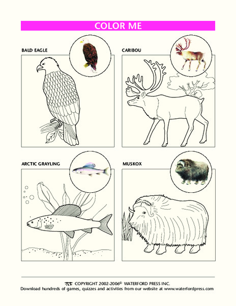 Color Me Lesson Plan