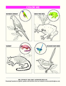Color Me Lesson Plan