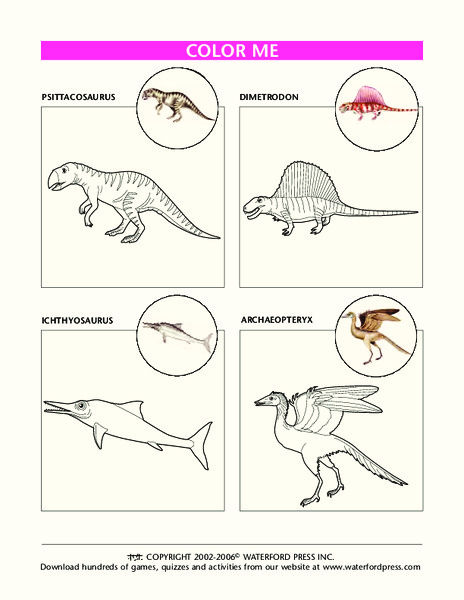 Color Me Lesson Plan