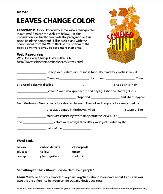 Leaves Change Color Scavenger Hunt Worksheet