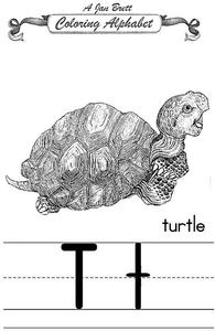 Coloring Alphabet Worksheet