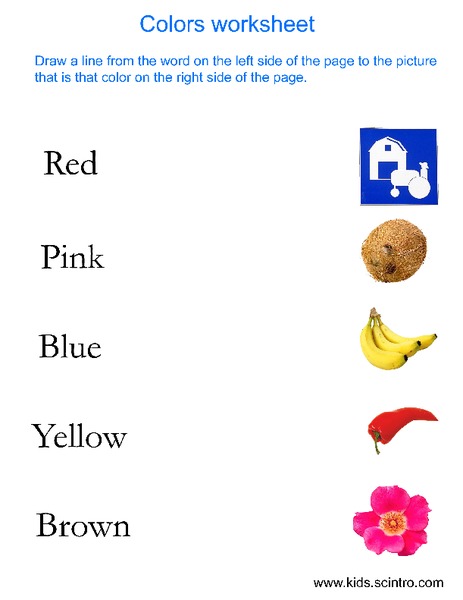 Colors Worksheet Worksheet
