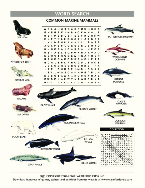 Common Marine Mammals Word Search Lesson Plan