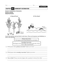 Community Distribution Worksheet