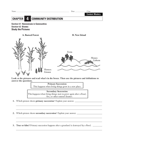 Community Distribution Worksheet