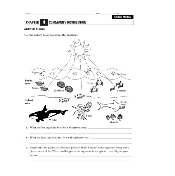 Community Distribution Worksheet