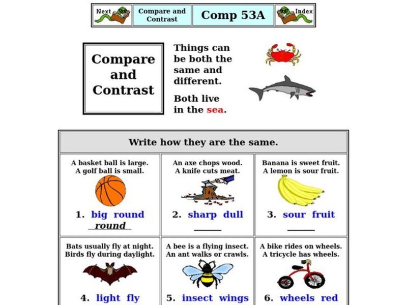 Compare and Contrast Worksheet