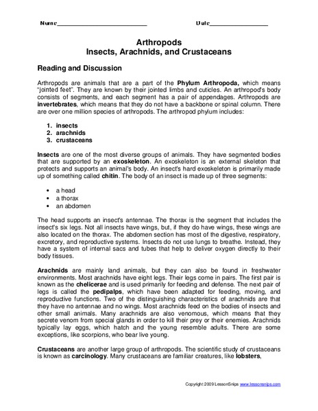 Arthropods, Insects, Arachnids, and Crustaceans Worksheet