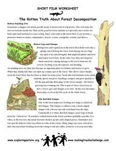 The Rotten Truth About Forest Decomposition Worksheet