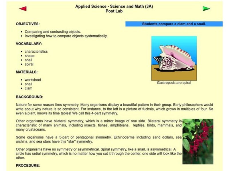 Comparing and Contrasting Lesson Plan