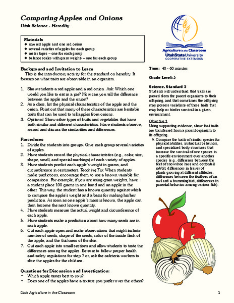 Comparing Apples and Onions Lesson Plan