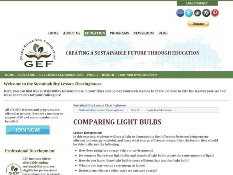 Comparing Light Bulbs Lesson Plan