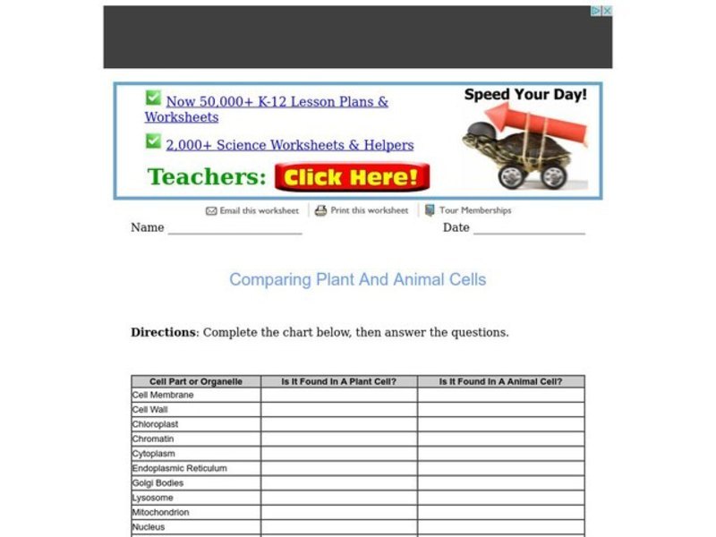 Comparing Plant and Animal Cells Organizer