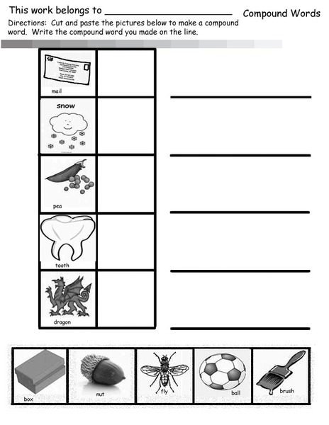 Compound Words Organizer