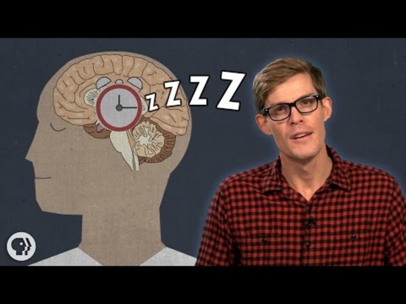 Why Do We Have To Sleep? Instructional Video
