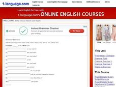 Grammar Exercise: Question Words Interactive