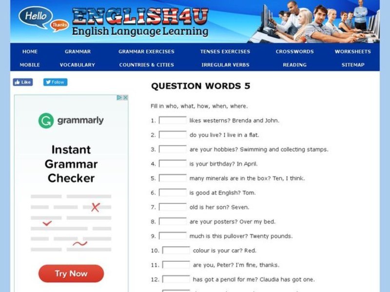 Questions Words: Who, What, How, When and Where Interactive
