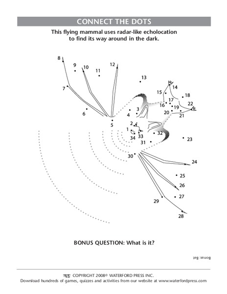 Connect the Dots Lesson Plan