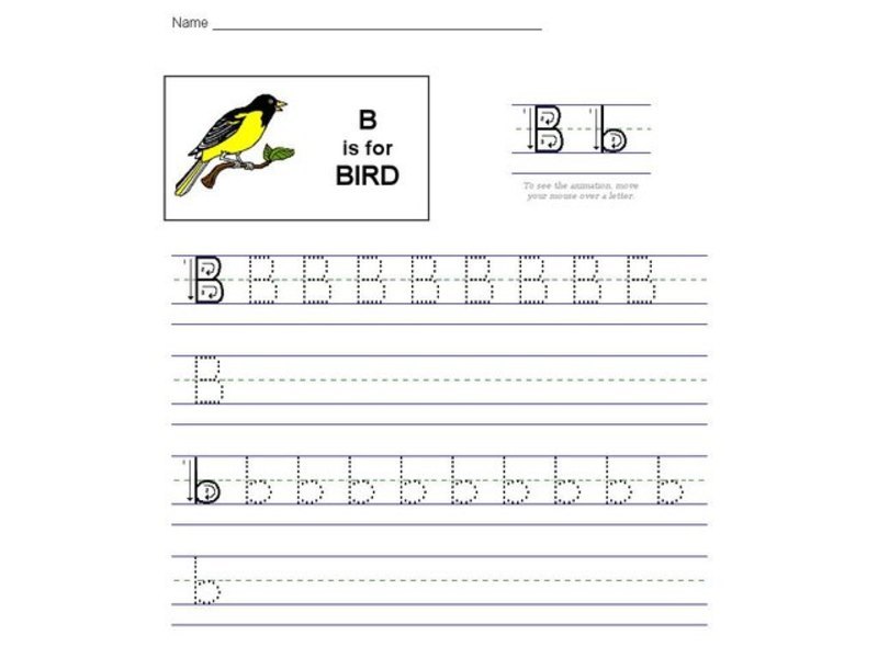 B is for Bird Interactive
