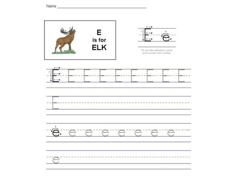 E is for Elk: The Letter E Interactive