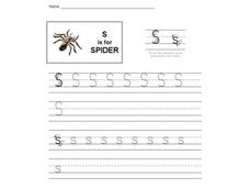 S is for Spider Interactive