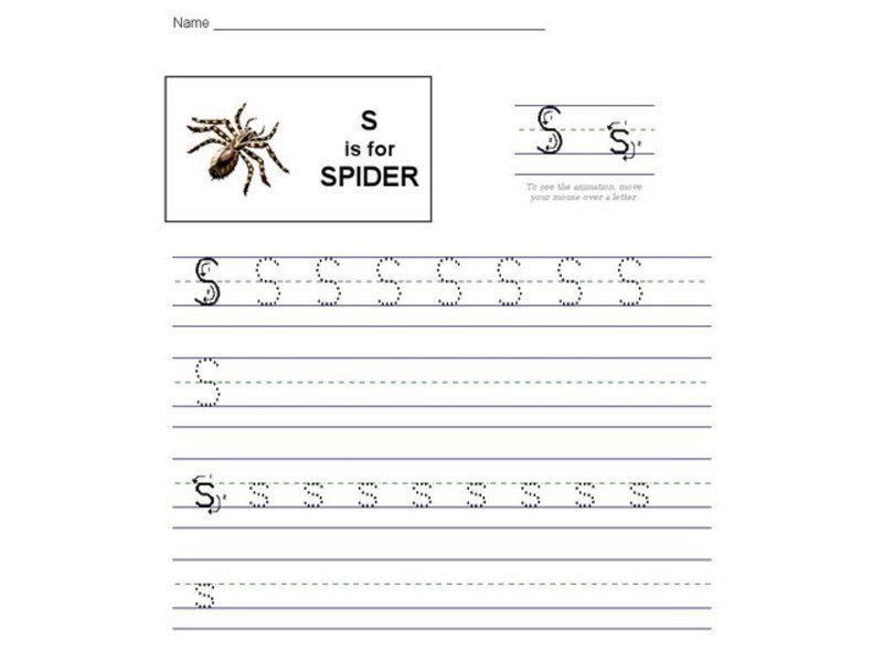 S is for Spider Interactive