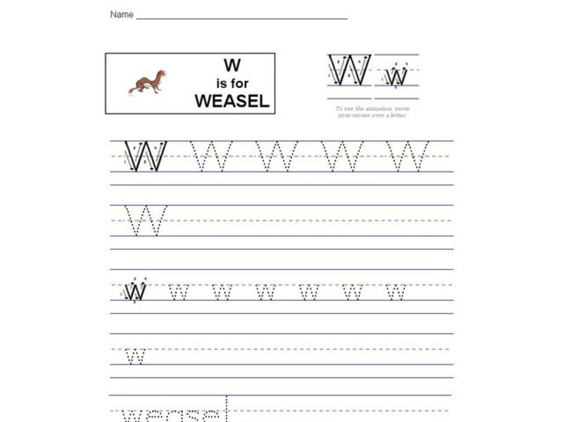 W is for Weasel Interactive