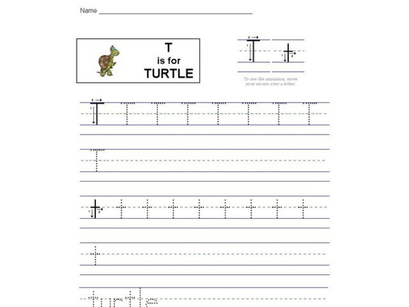 T is for Turtle: Letter Tt Worksheet