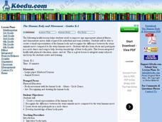 The Human Body and Movement Lesson Plan