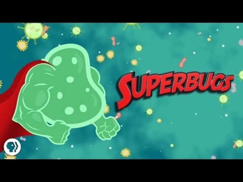 Rise of the Superbugs Instructional Video