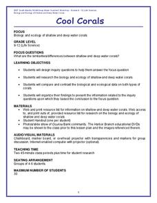 Cool Corals Lesson Plan