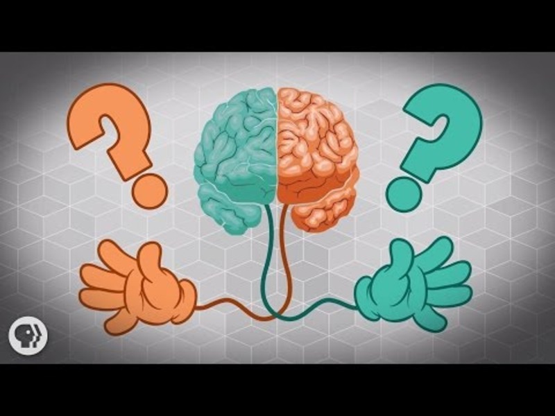 Why Are Some People Left-Handed? Instructional Video