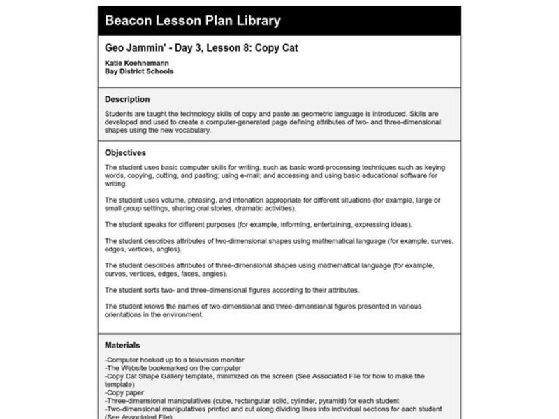 Copy Cat Lesson Plan