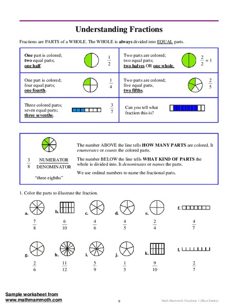 Understanding Fractions Worksheet