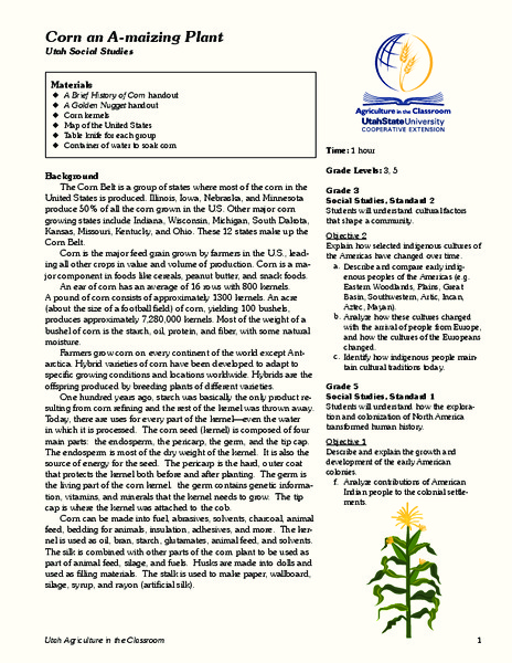 Corn: An A-maizing Plant Lesson Plan