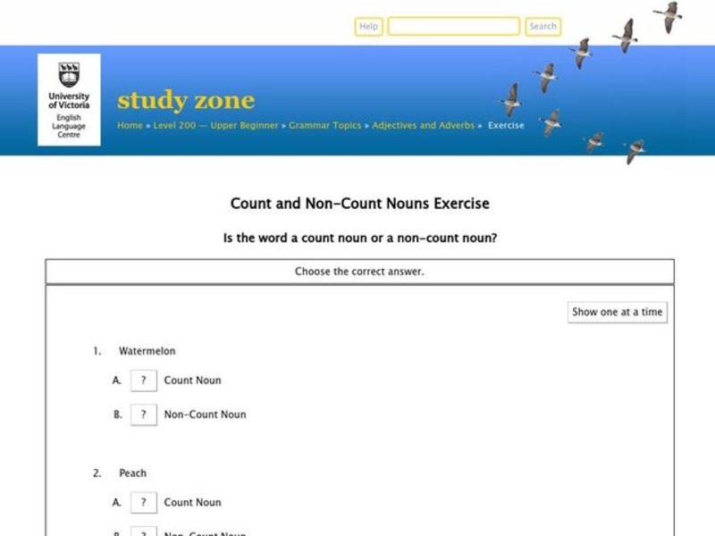 Count and Non-Count Nouns Interactive