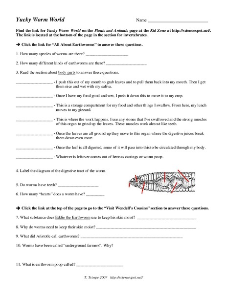 Yucky Worm World Interactive