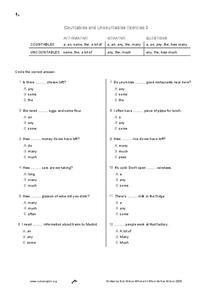 Countables and Uncountables Worksheet