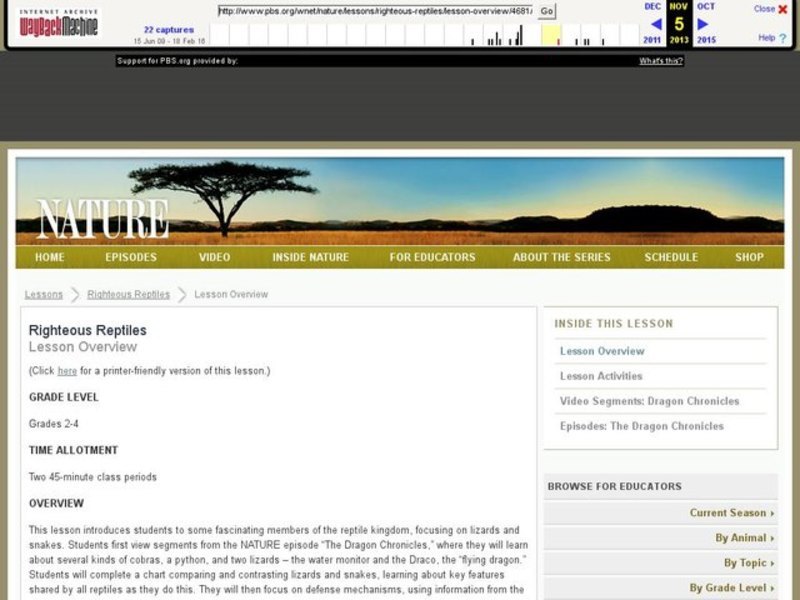 Righteous Reptiles Lesson Plan