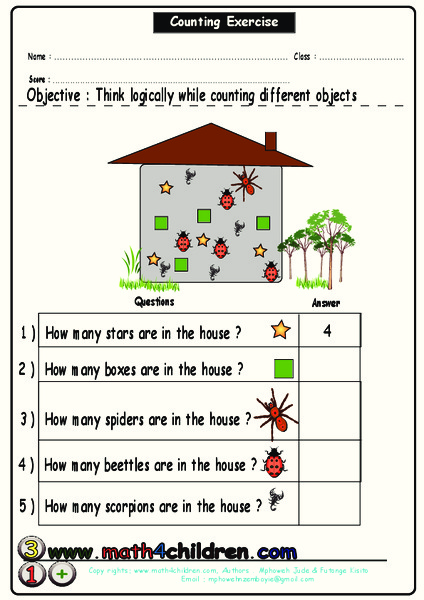 Counting Exercise Worksheet