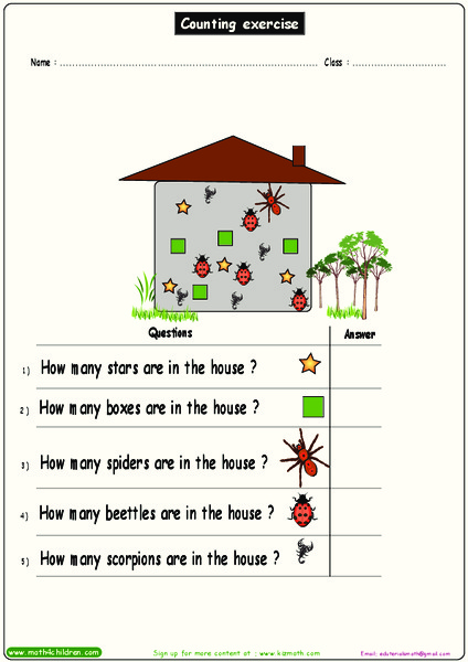 Counting Exercise Worksheet